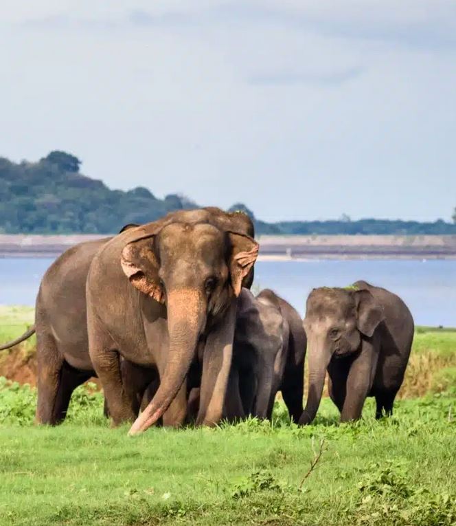 A serene travel destination in Sri Lanka