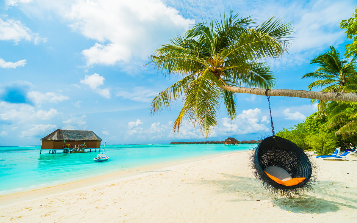 A baby turtle making its way to the sea.