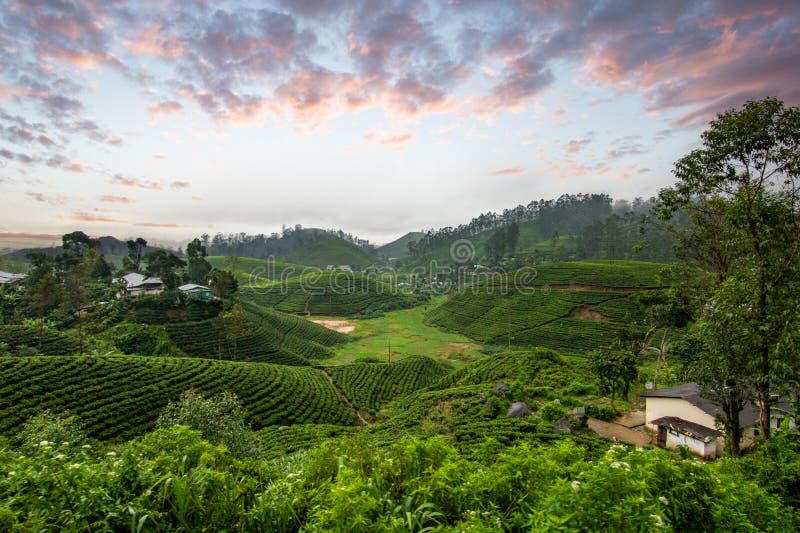 Ultimate Sri Lanka Journey